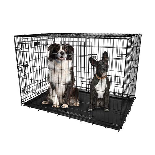 48 Inch Folding Metal Pet Cage with Tray O20210