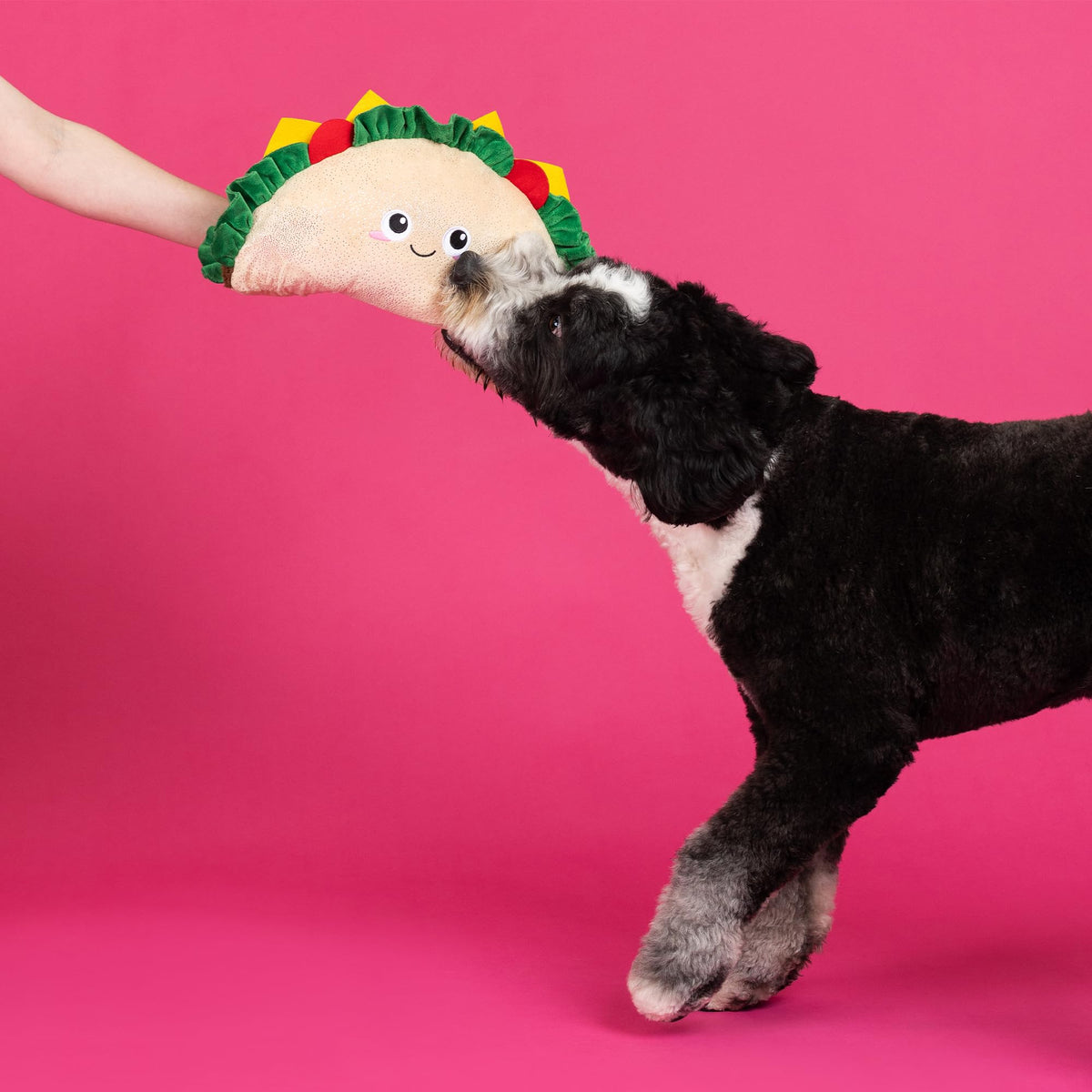 Large Plush Dog Toy G54567