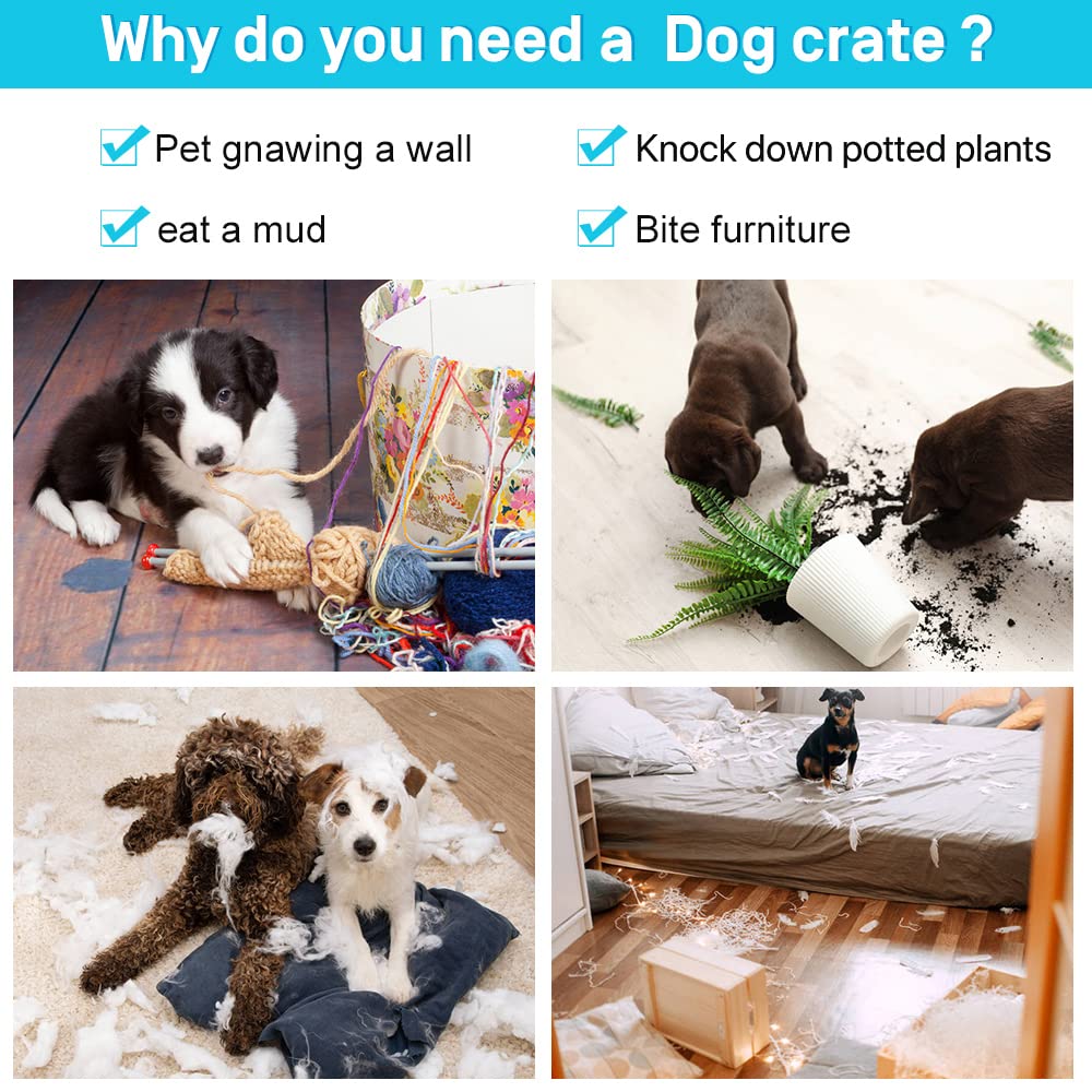 48" Heavy Duty Folding Wire Metal Dog Crate with Divider A725