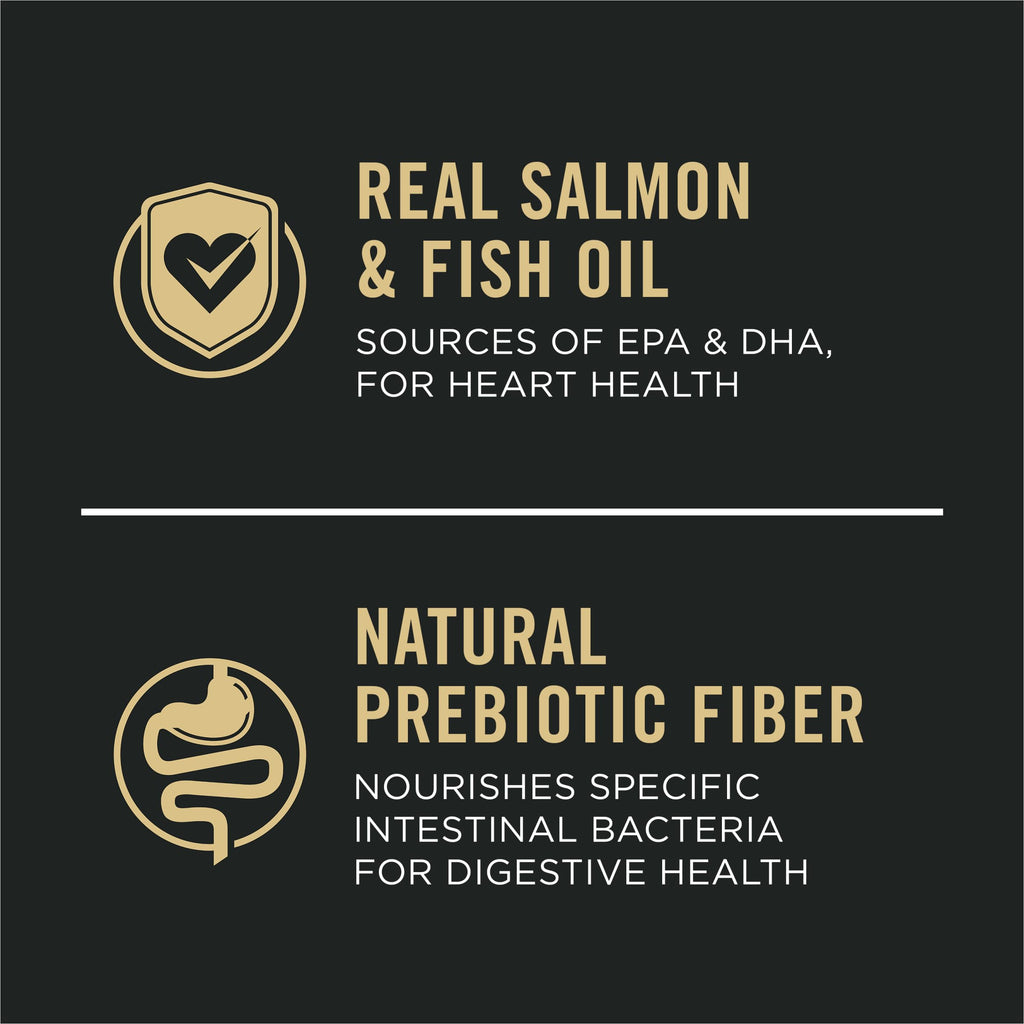 Salmon Dry Dog Food J5780