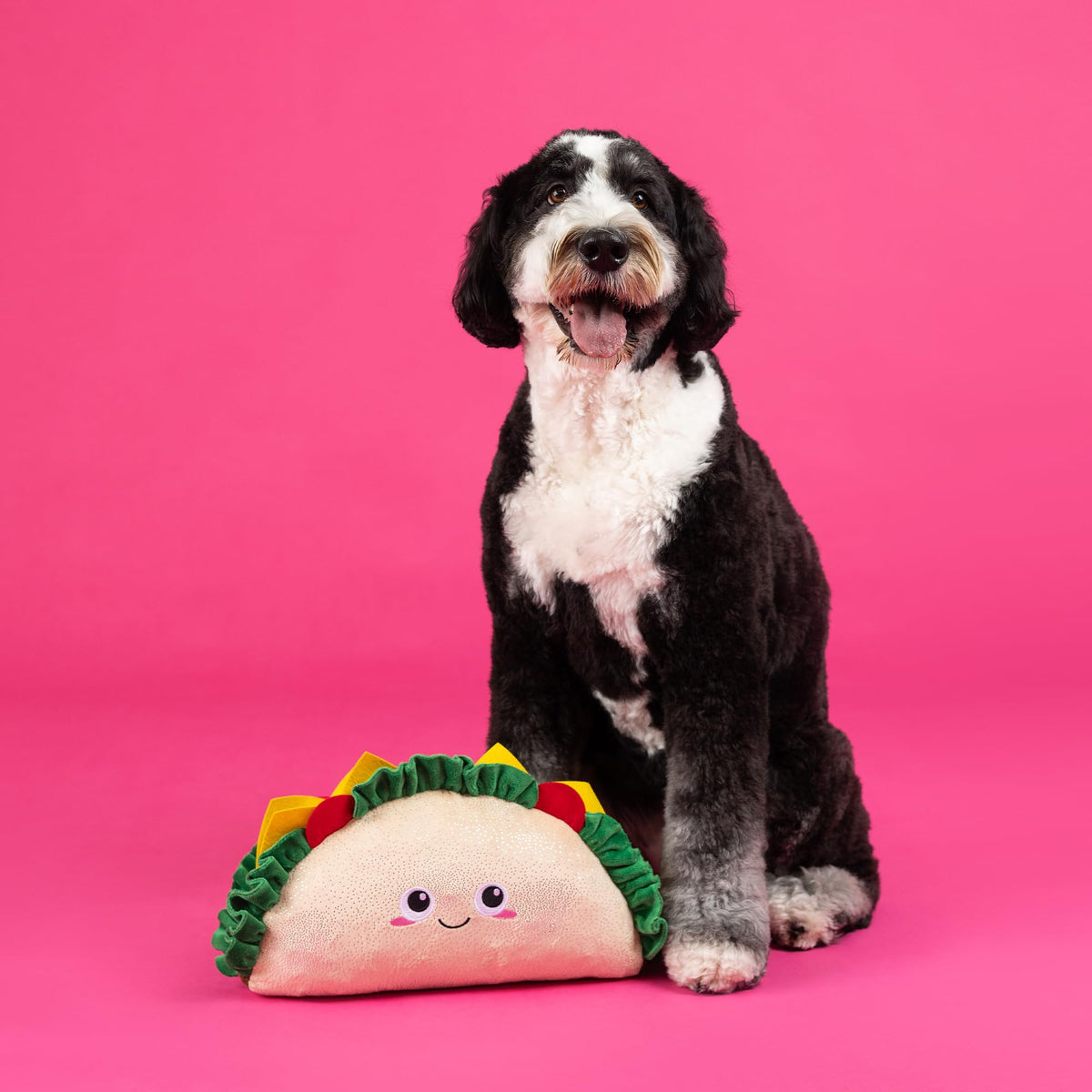 Large Plush Dog Toy G54567
