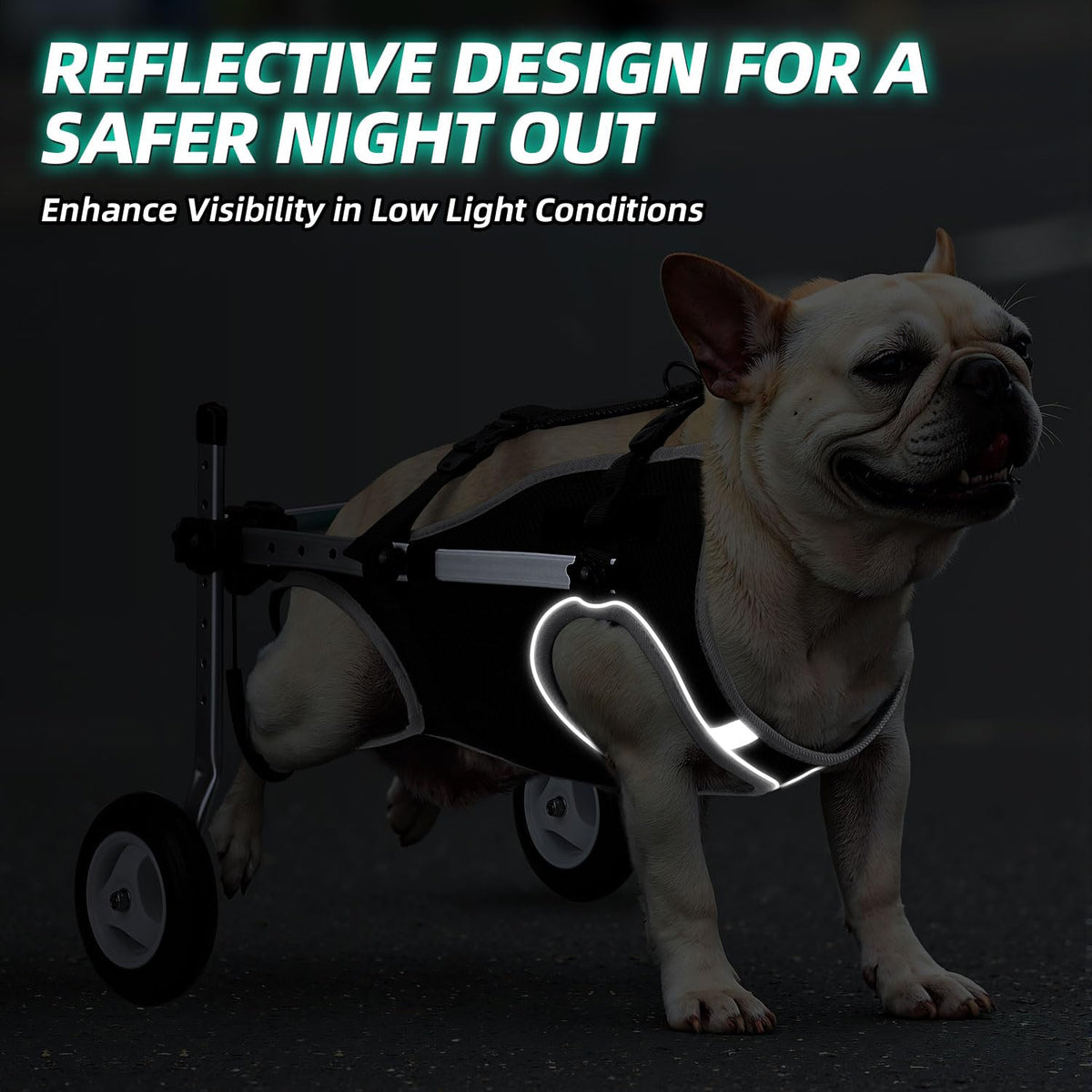 Dog Wheelchair for Back Legs C779