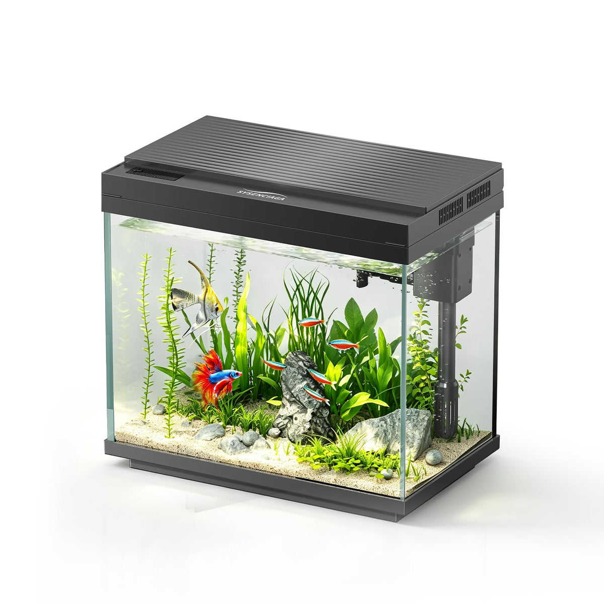 3 Gal Glass Fish Tank Kit with Filter & Light L719917