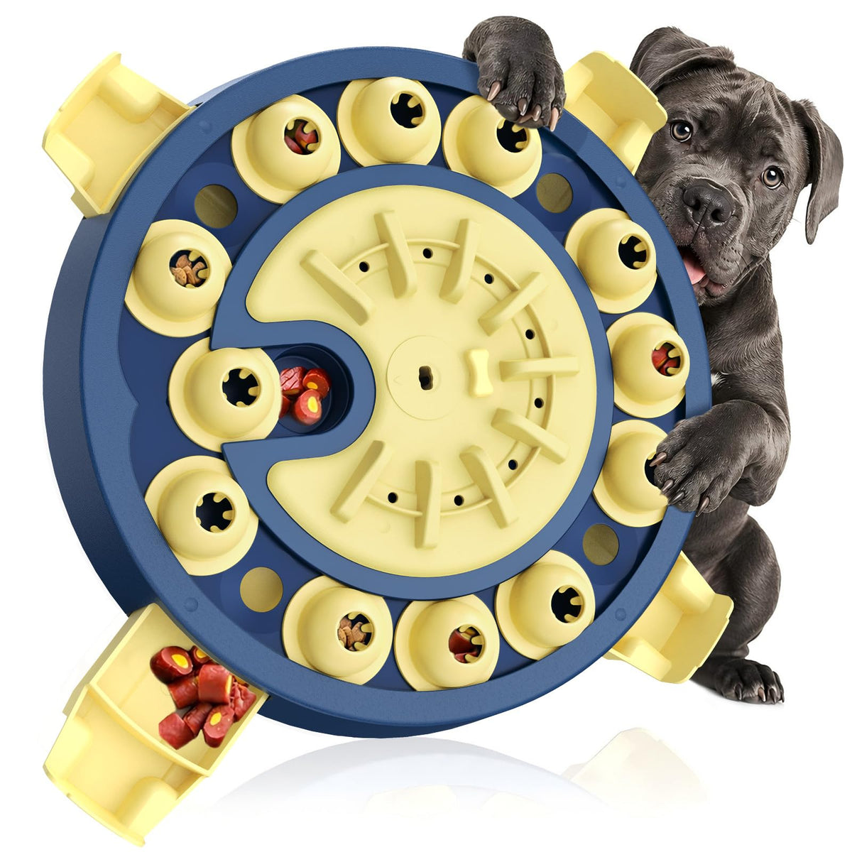 Large 3 Levels Dog Puzzle Toy X60468