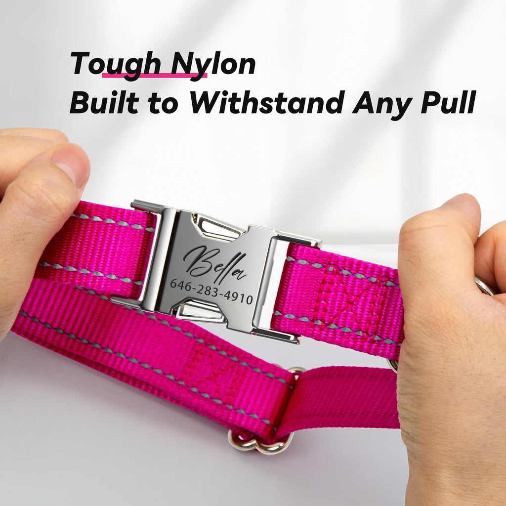 Reflective Dog Collar with Engraved ID Tag Z3094
