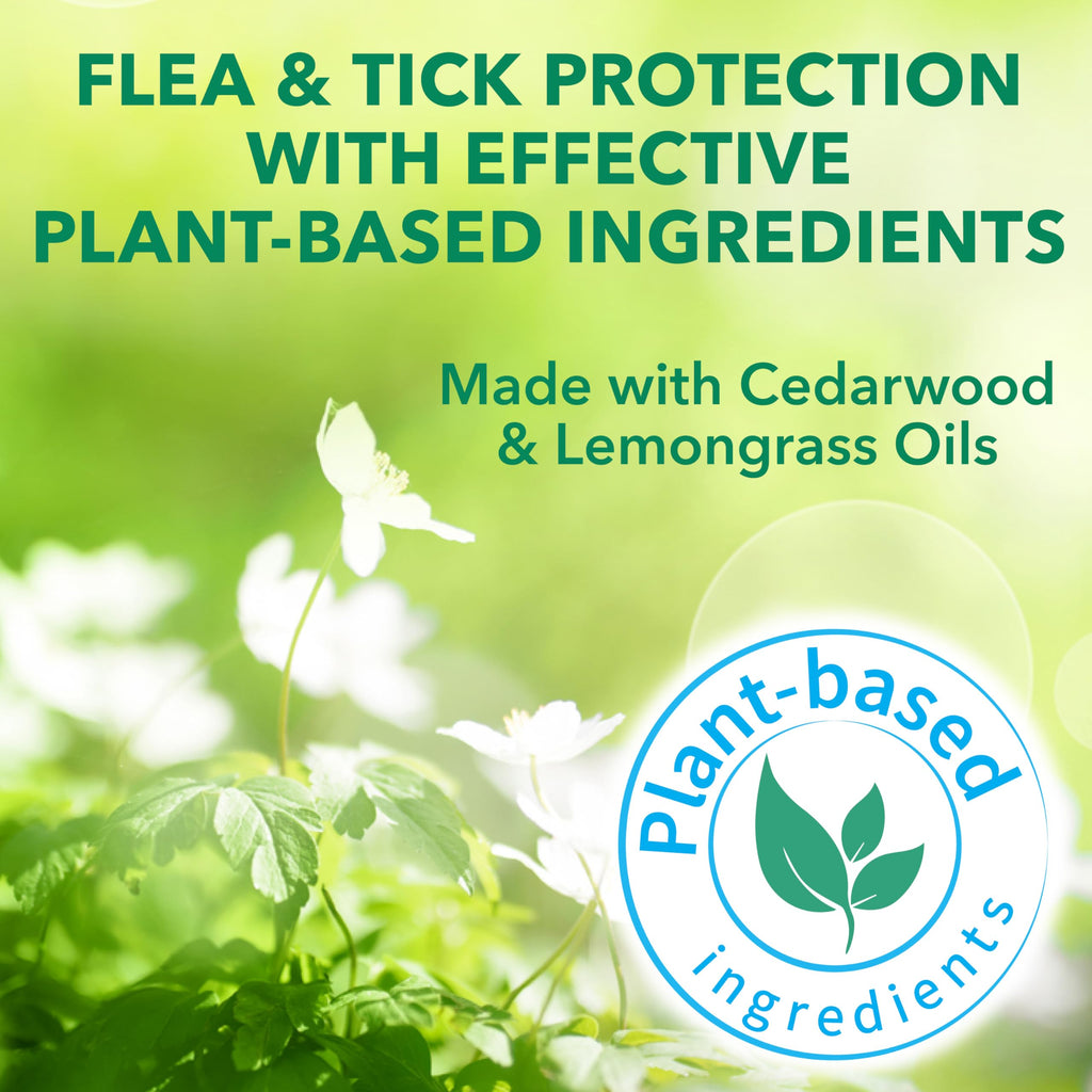 Flea & Tick Spray Treatment for Cats with Cedarwood and Lemongrass Oil, 14 Ounces N192619