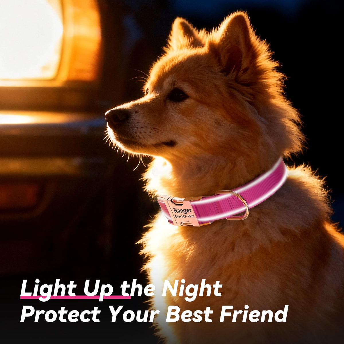 Reflective Dog Collar with Engraved ID Tag Z3094