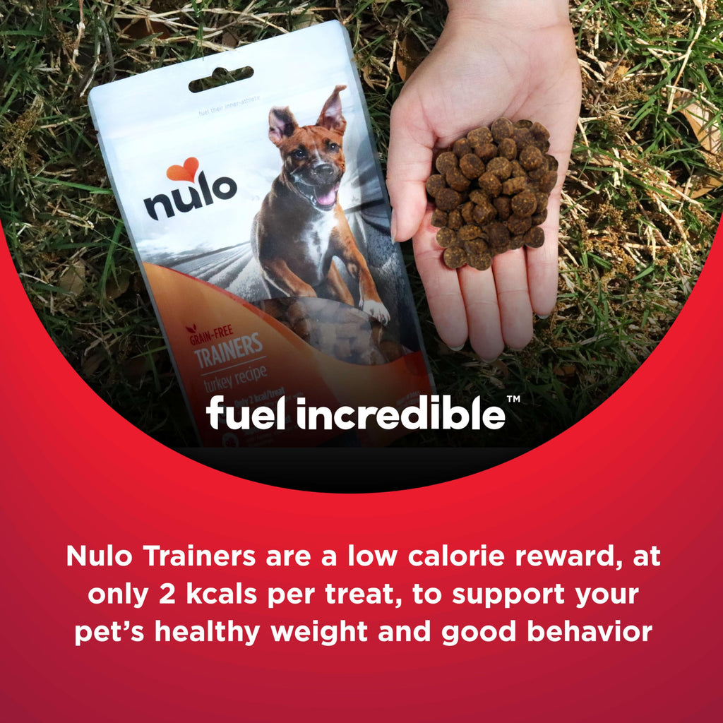 Turkey Recipe Grain-Free Low-Calorie Dog & Puppy Training Treats, 16 Ounce Pouch Z1170