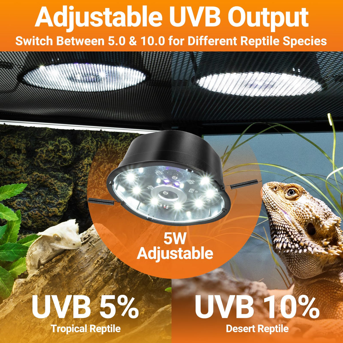 20 Gallon Reptile Terrarium Starter Kit with Heating System Thermostat UVB Light Hide Cave Feeding Dish Q468000