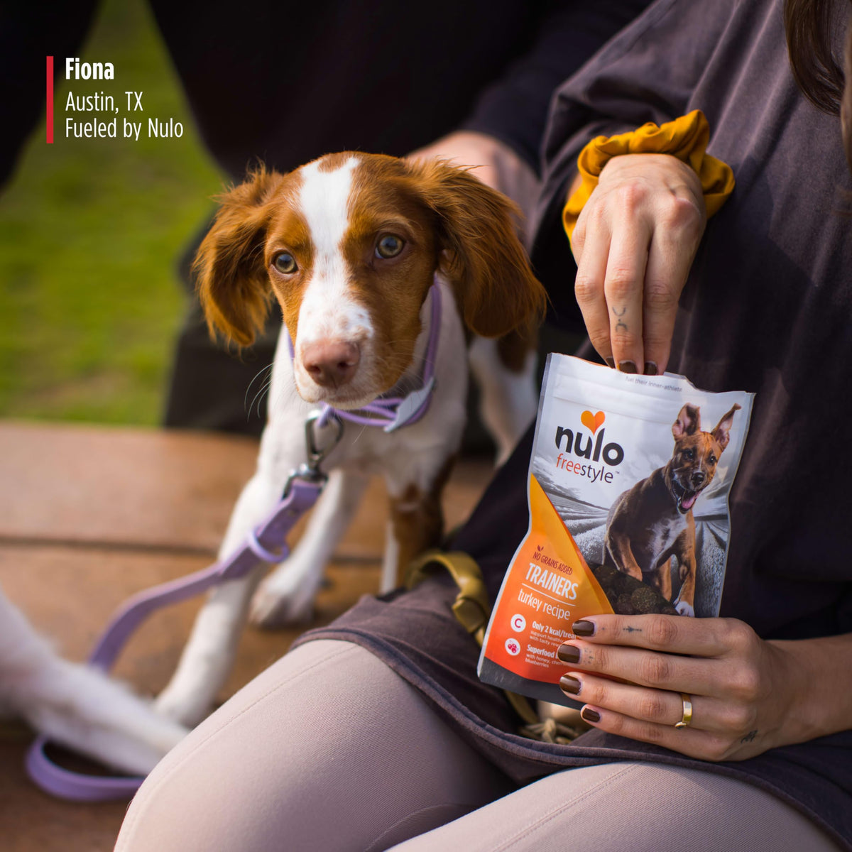 Turkey Recipe Grain-Free Low-Calorie Dog & Puppy Training Treats, 16 Ounce Pouch Z1170