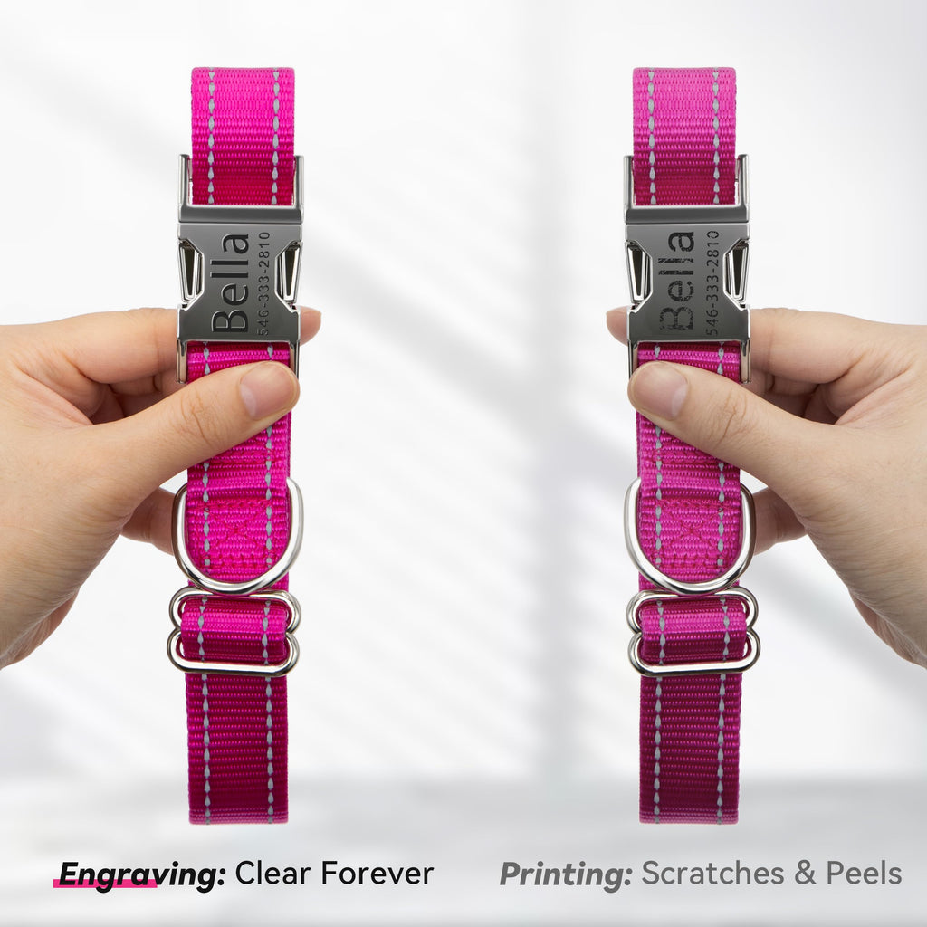 Reflective Dog Collar with Engraved ID Tag Z3094