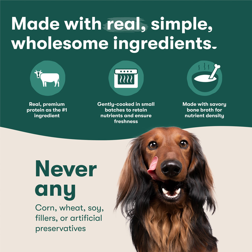 Grain Free Wet Dog Food Toppers 6 Pack 9oz H404