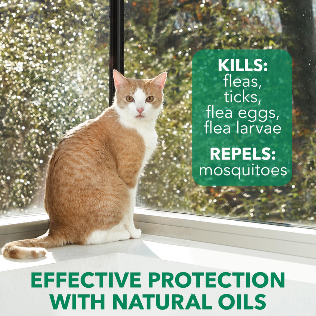 Flea & Tick Spray Treatment for Cats with Cedarwood and Lemongrass Oil, 14 Ounces N192619