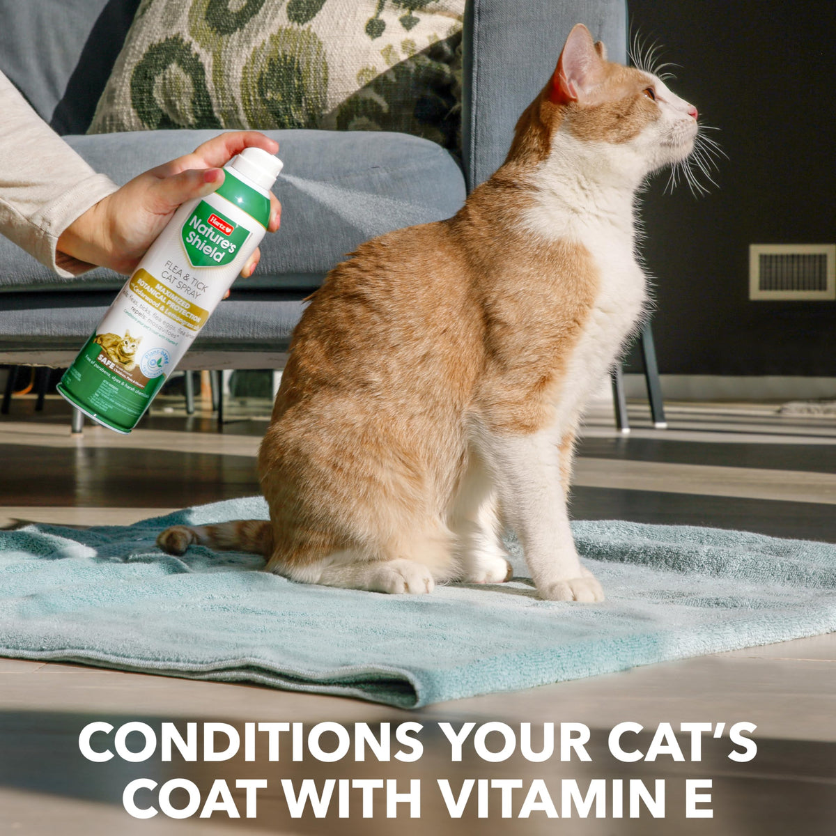 Flea & Tick Spray Treatment for Cats with Cedarwood and Lemongrass Oil, 14 Ounces N192619