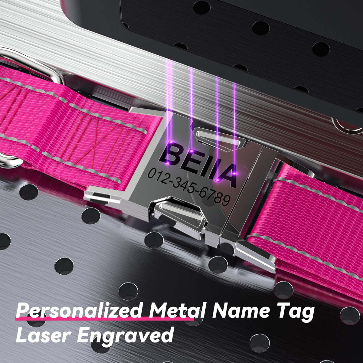 Reflective Dog Collar with Engraved ID Tag Z3094